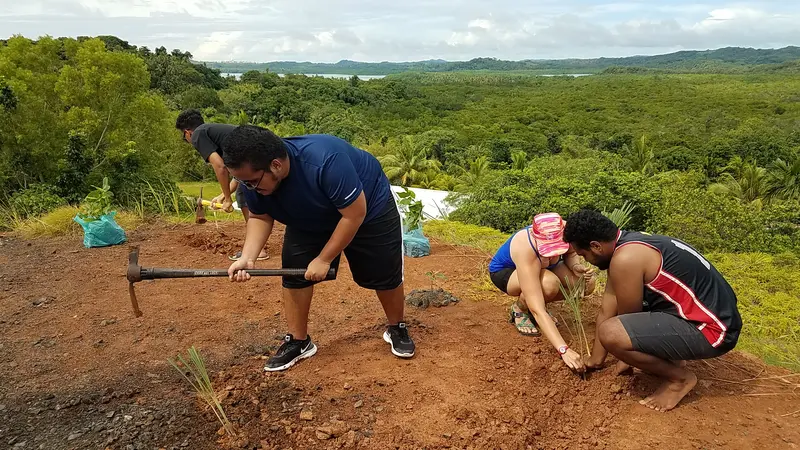 students planting trees in tropical location with expansive views