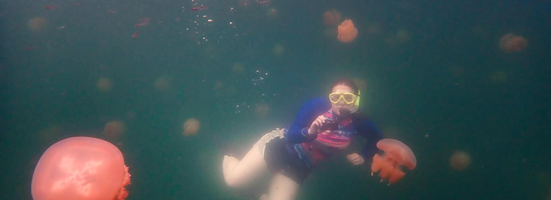 Simone snorkeling with jellyfish in a saltwater lake.